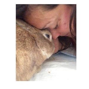 Meet your Posher, Silvi